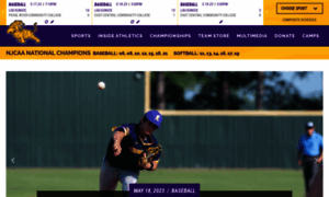 Athletics.lsue.edu thumbnail