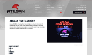 Atilganfightacademy.com thumbnail