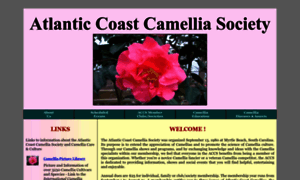 Atlanticcoastcamelliasociety.org thumbnail