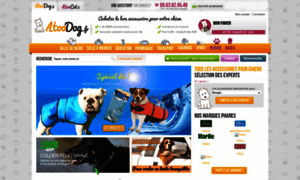 Atoodog.fr thumbnail