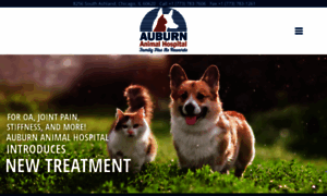 Auburnanimalhospital.vet thumbnail