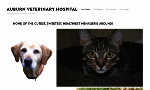 Auburnvethospital.com thumbnail