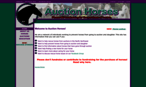 Auctionhorses.net thumbnail