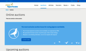 Auctions.pipa.be thumbnail