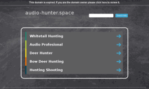 Audio-hunter.space thumbnail