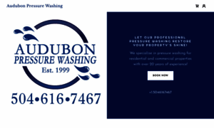 Audubonpressurewashing.com thumbnail