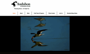 Audubonswfl.org thumbnail