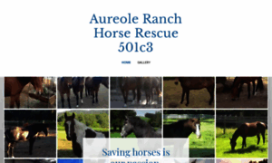 Aureoleranch.org thumbnail