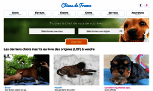 Auroyaumedesminisstars.chiens-de-france.com thumbnail