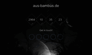 Aus-bambus.de thumbnail