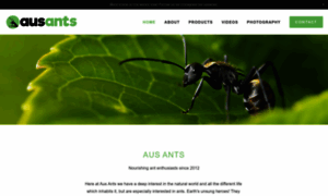 Ausants.net thumbnail