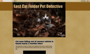 Austincatdetective.blogspot.com thumbnail