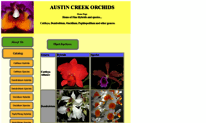 Austincreekorchids.com thumbnail