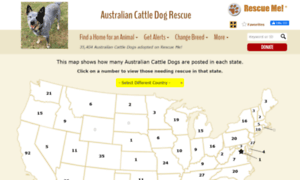 Australiancattledog.rescueme.org thumbnail
