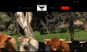 Australianhighlandcattle.com thumbnail