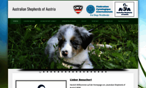 Australianshepherds.at thumbnail