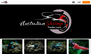 Australianshrimptrader.com thumbnail