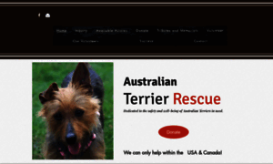 Australianterrierrescue.org thumbnail