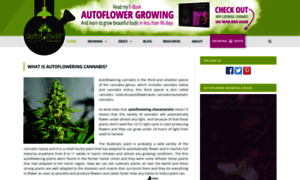 Autoflowering-cannabis.com thumbnail