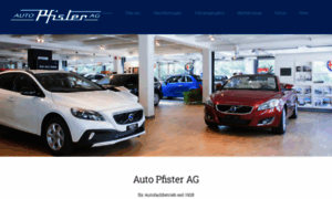 Autopfister.ch thumbnail