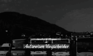 Autoreisen-wegscheider.com thumbnail