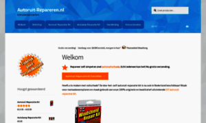 Autoruit-repareren.nl thumbnail