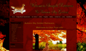 Autumnskygoldens.com thumbnail