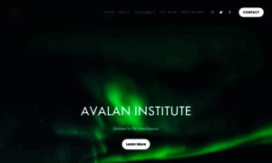 Avalaninstitute.com thumbnail
