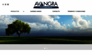 Avangra.cl thumbnail