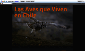 Avesvivenchile.blogspot.cl thumbnail