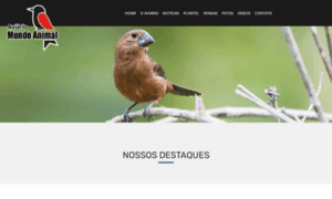 Aviariomundoanimal.com.br thumbnail