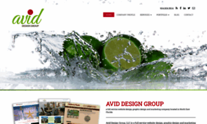 Aviddesigngroup.com thumbnail