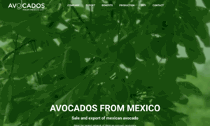 Avocadosfrommexico.org thumbnail