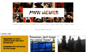 Awwmemes.com thumbnail