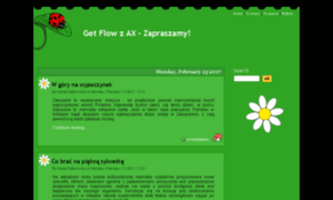 Axflow.com.pl thumbnail