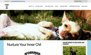 Aychihuahuarescue.org thumbnail