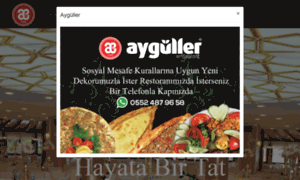 Ayguller.com.tr thumbnail