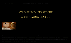 Ayrsguineapigrescueandrehoming.weebly.com thumbnail