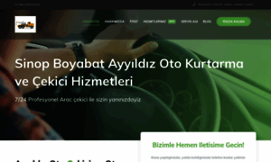 Ayyildizotopark.com thumbnail