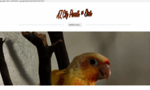 Azcityparrots2.weebly.com thumbnail