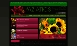 Aziatics.com thumbnail