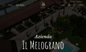 Aziendailmelograno.it thumbnail