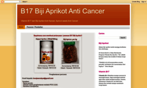 B-17-biji-aprikot-anti-cancer.blogspot.com thumbnail