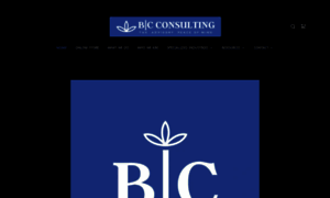 B-cconsulting.com thumbnail