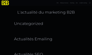 B2b-marketing.fr thumbnail