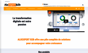 B2b.aloexpert.fr thumbnail