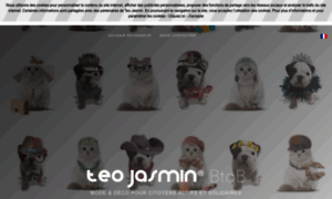 B2b.teojasmin.fr thumbnail