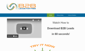 B2bleadsforfree.com thumbnail