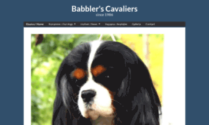 Babblers.fi thumbnail