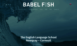 Babelfishlanguageschool.com thumbnail